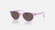 Ray-Ban translucent purple round sunglasses with dark brown lenses