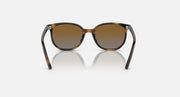 Ray-Ban Elliot sunglasses with brown lenses and havana frame, front view