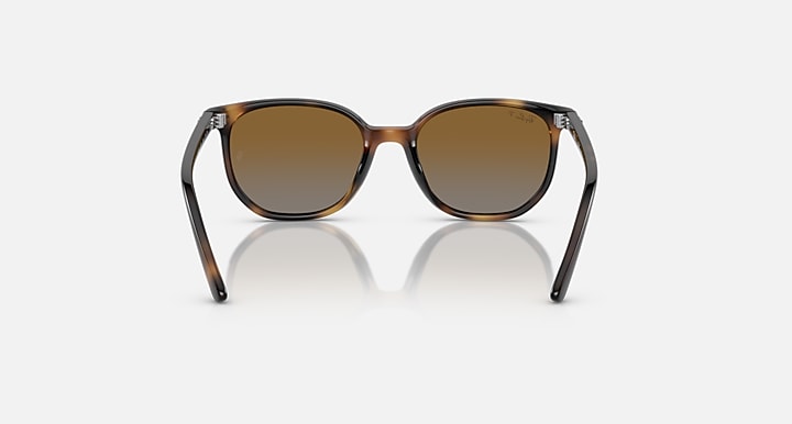 Ray-Ban Elliot sunglasses with brown lenses and havana frame, front view