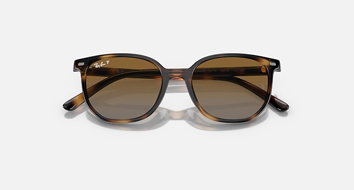 Ray-Ban Elliot sunglasses with brown lenses and havana frame, angled view