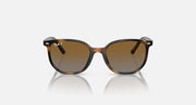Ray-Ban Elliot cat-eye sunglasses with brown lenses and havana frame