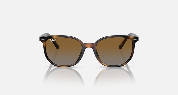 Ray-Ban Elliot cat-eye sunglasses with brown lenses and havana frame