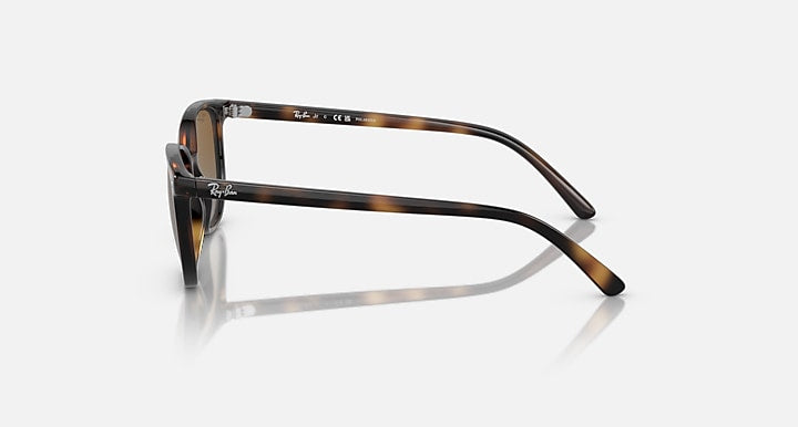 Ray-Ban Elliot sunglasses with havana frame and brown lenses, side view