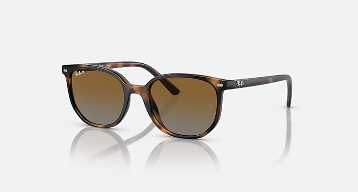 Ray-Ban Elliot square sunglasses with brown lenses and havana frame