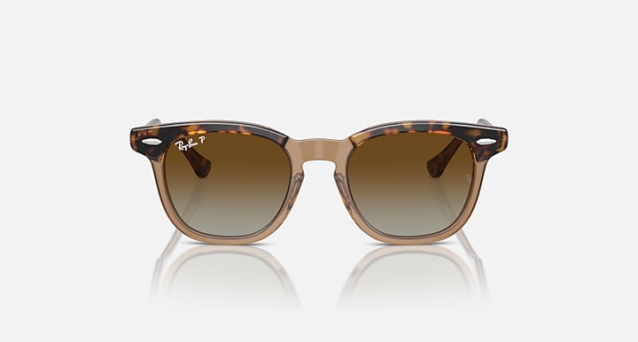 Ray-Ban tortoise round sunglasses with brown gradient lenses, front view