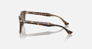 Ray-Ban tortoise acetate sunglasses showing temple and side profile with brown lens