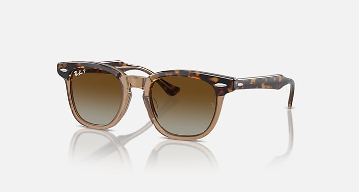 Ray-Ban tortoise acetate sunglasses with brown gradient lenses and gold-tone detailing