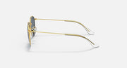 Gold sunglasses side profile with round frame, dark lens, and thin metal arms.
