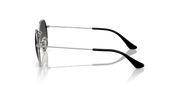 Round metal sunglasses with dark lenses and nose pads, side view