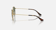 Ray-Ban Junior sunglasses side view with gold-tone metal arms and dark tortoise tips