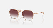 Gold-tone junior sunglasses with rectangular frames and dark maroon gradient lenses