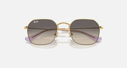 Gold-tone junior sunglasses front view with dark grey gradient lenses and purple side tips