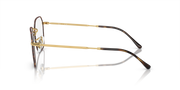 Gold-tone eyeglass frames side view with curved metal temples and arms