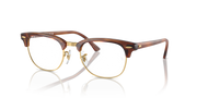 Brown tortoise-style eyeglass frames with round prescription lenses
