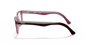 Maroon prescription eyewear frames, side profile with thick acetate temples