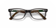 Ray-Ban prescription eyewear frames, dark green lenses with layered brown temple tips