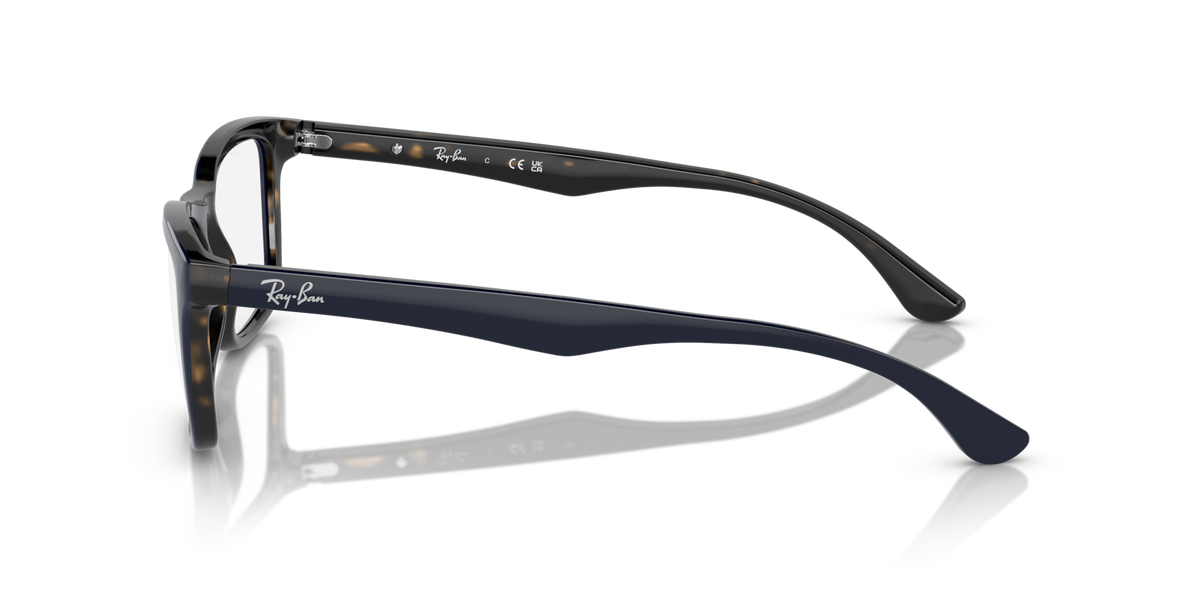 Prescription eyewear frames, dark glossy side profile with metal temples