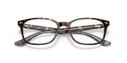 Havana brown prescription eyewear frames with rectangular lenses and patterned temples