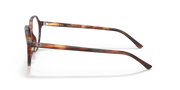 Side profile of havana striped prescription eyeglass frames with metal temple tips