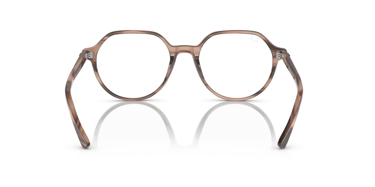 Havana-tone prescription eyewear frames, round lenses and curved nose bridge