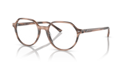 Havana-tone prescription eyewear frames with round lenses and thin metal temples