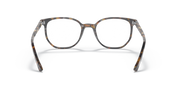 Ray-Ban prescription eyewear frames, brown tortoise-striped front with rounded full-rim lenses