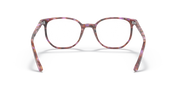Red-toned striped acetate eyeglass frames with square-round lenses, front view