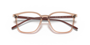 Prescription eyewear frames, clear light brown front with dark embossed temple details