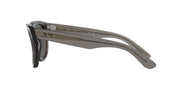 Ray-Ban Wayfarer Reverse sunglasses, dark gray frame, dark tinted lenses, side view