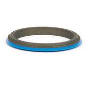 Black rubber gasket seal ring with blue outer edge