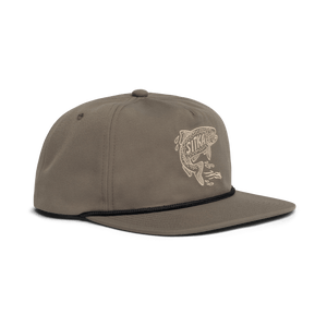 Bark Brown