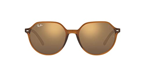 Ray-Ban Thalia Low Bridge Fit RB2195F Sunglasses - Transparent Brown/Brown Mirrored Gold / 53 mm - 8056597759168