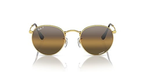 Ray-Ban Metal Glasses RB3447 Sunglasses - Gold/Clear Gradient Dark Brown Polarized / 50 mm - 8056597965354