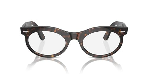 Ray-Ban Wayfarer Oval Low Bridge Fit RB2242F Sunglasses - Havana/Transition Clear to Brown / 53 mm - 8056262048313
