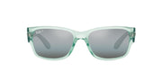 Ray-Ban RB4388 Sunglasses - Transparent Green/Blue Polarized / 58 mm - 8056597719377