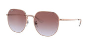 Ray-Ban RB3680D Sunglasses - Default Title - 8056597530880
