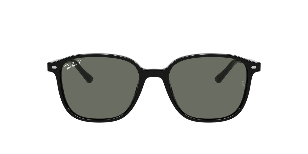 Ray-Ban Leonard RB2193 Sunglasses - Black/G-15 Green Polarized / 53 mm - 8056597318020
