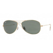 Ray-Ban Cockpit RB3362 Sunglasses - Default Title - 805289160861