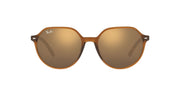 Ray-Ban Thalia RB2195 Sunglasses - Transparent Brown/Light Brown Mirrored Gold / 53 mm - 8056597759229