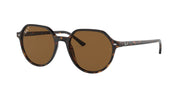 Ray-Ban Thalia RB2195 Sunglasses - Havana/Polarized Brown / 53 mm - 8056597431491