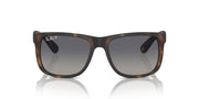 Ray-Ban Justin RB4165 Sunglasses - Havana / Blue / 54 mm - 8056262094341