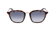 Dragon Alliance Fallon Sunglasses - Shiny Tortoise / One Size - X003QRF46F