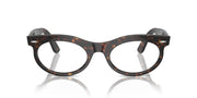 Ray-Ban Wayfarer Oval RB2242 Sunglasses - Havana/Transition Clear to Brown / 50 mm - 8056262042342