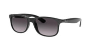 Ray-Ban New Ray Ban Andy RB4202 Sunglasses - Default Title - 8053672467215