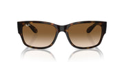 Ray-Ban RB4388 Sunglasses - Havana/Clear Gradient Brown / 58 mm - 8056262054772