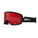 Giro Roam Snow Goggles