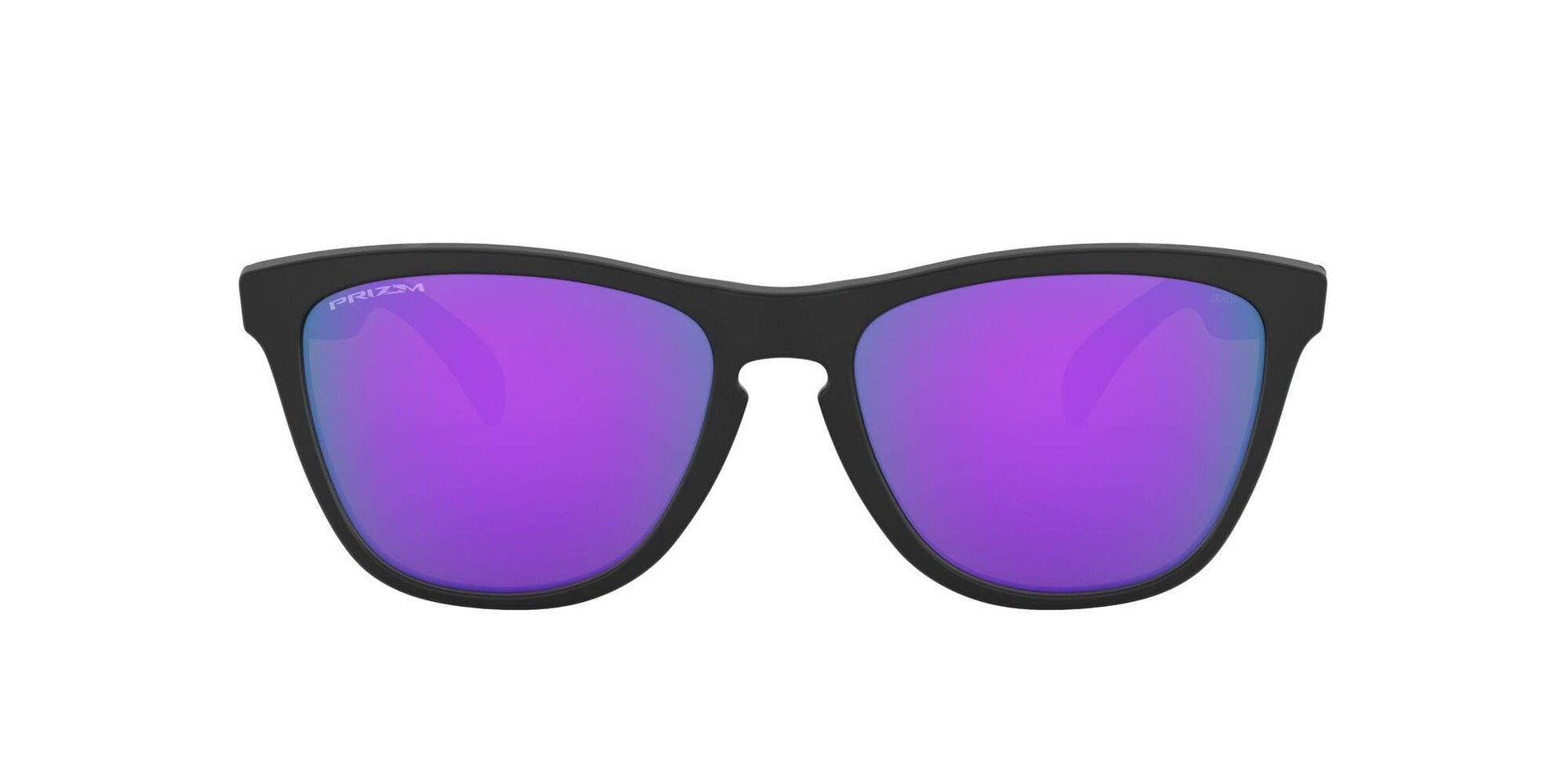 Oakley Frogskins Sunglasses - Matte Black / X-Large - 888392454690
