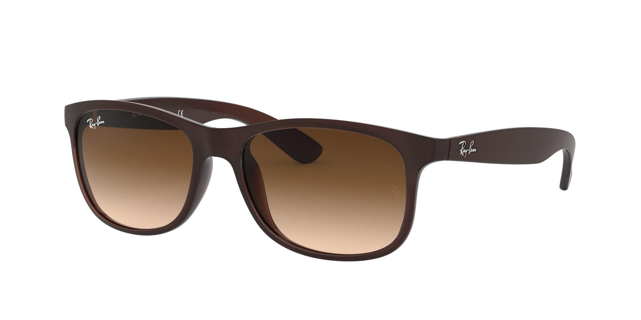 Ray-Ban Andy RB4202 Sunglasses - Brown / Medium - 8053672188905
