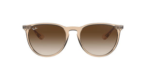 Transparent Light Brown/Brown Gradient Dark Brown