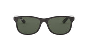 Ray-Ban Andy RB4202 Sunglasses - Green / Medium - 8053672188868 - Additional Image 2